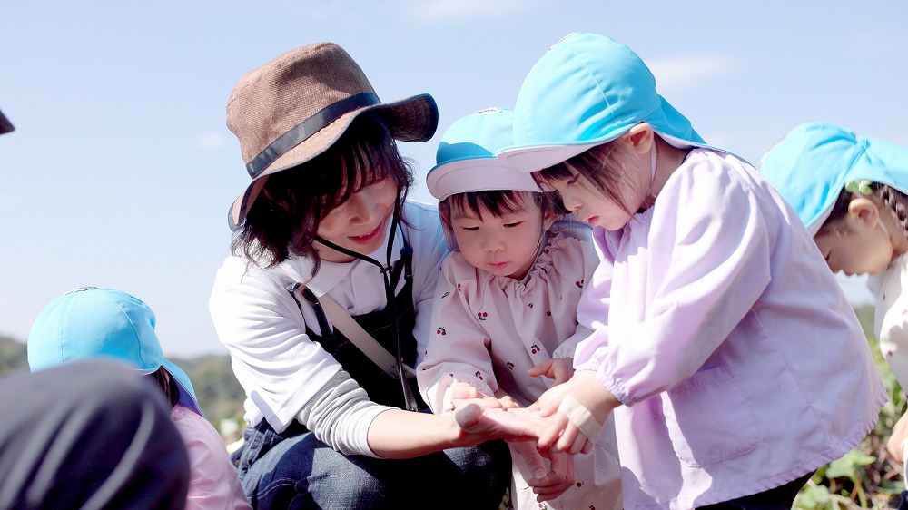 入園案内とクラス編成
