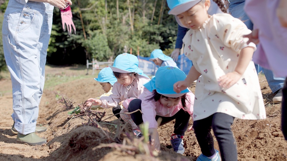 2. 畑での栽培など充実した食育